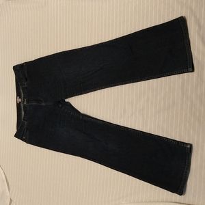 J Jill Women Dark Blue Jeans